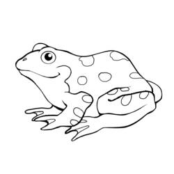 ぬりえ: 蛙 - 無料の印刷可能なぬりえページ