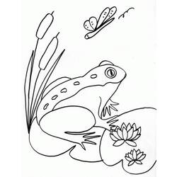 ぬりえページ: 蛙 (動物) #7606 - 無料の印刷可能なぬりえページ