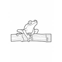 ぬりえページ: 蛙 (動物) #7611 - 無料の印刷可能なぬりえページ