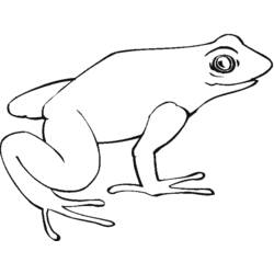 ぬりえページ: 蛙 (動物) #7629 - 無料の印刷可能なぬりえページ