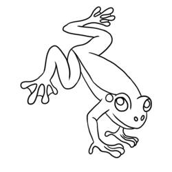 ぬりえページ: 蛙 (動物) #7635 - 無料の印刷可能なぬりえページ