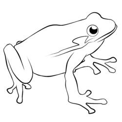 ぬりえページ: 蛙 (動物) #7642 - 無料の印刷可能なぬりえページ