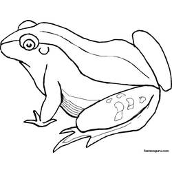 ぬりえページ: 蛙 (動物) #7655 - 無料の印刷可能なぬりえページ