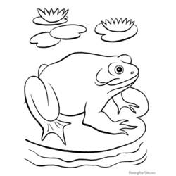 ぬりえページ: 蛙 (動物) #7661 - 無料の印刷可能なぬりえページ