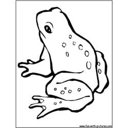 ぬりえページ: 蛙 (動物) #7663 - 無料の印刷可能なぬりえページ