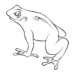 ぬりえページ: 蛙 (動物) #7665 - 無料の印刷可能なぬりえページ