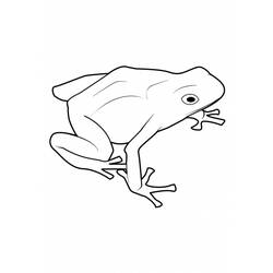 ぬりえページ: 蛙 (動物) #7679 - 無料の印刷可能なぬりえページ