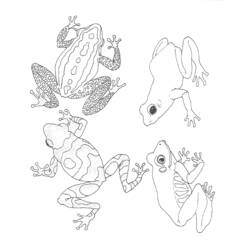 ぬりえページ: 蛙 (動物) #7694 - 無料の印刷可能なぬりえページ
