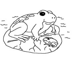 ぬりえページ: 蛙 (動物) #7715 - 無料の印刷可能なぬりえページ