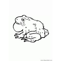 ぬりえページ: 蛙 (動物) #7746 - 無料の印刷可能なぬりえページ