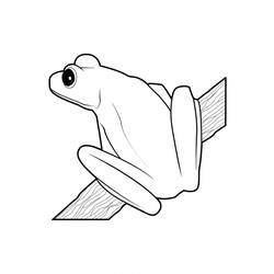 ぬりえページ: 蛙 (動物) #7756 - 無料の印刷可能なぬりえページ