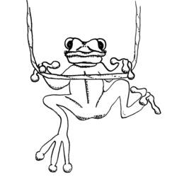 ぬりえページ: 蛙 (動物) #7763 - 無料の印刷可能なぬりえページ