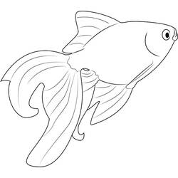 ぬりえ: 金魚 - 無料の印刷可能なぬりえページ