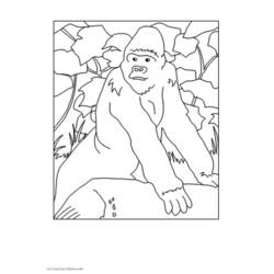 ぬりえページ: ゴリラ (動物) #7451 - 無料の印刷可能なぬりえページ