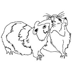 ぬりえページ: モルモット (動物) #18500 - 無料の印刷可能なぬりえページ