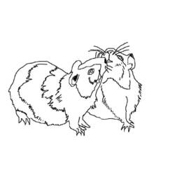 ぬりえページ: モルモット (動物) #18547 - 無料の印刷可能なぬりえページ