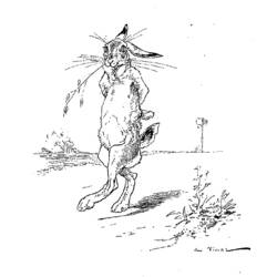 ぬりえページ: 野ウサギ (動物) #10089 - 無料の印刷可能なぬりえページ