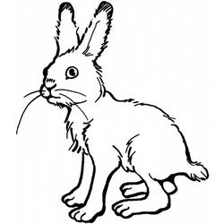 ぬりえページ: 野ウサギ (動物) #10098 - 無料の印刷可能なぬりえページ