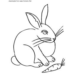 ぬりえページ: 野ウサギ (動物) #10124 - 無料の印刷可能なぬりえページ