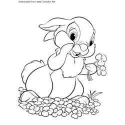 ぬりえページ: 野ウサギ (動物) #10126 - 無料の印刷可能なぬりえページ