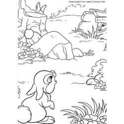 ぬりえページ: 野ウサギ (動物) #10133 - 無料の印刷可能なぬりえページ