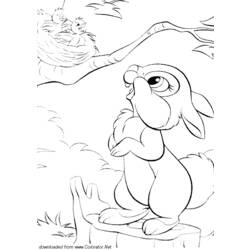 ぬりえページ: 野ウサギ (動物) #10143 - 無料の印刷可能なぬりえページ