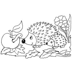 ぬりえページ: ハリネズミ (動物) #8227 - 無料の印刷可能なぬりえページ