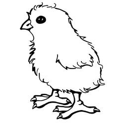 ぬりえ: 雌鶏とひよこ - 無料の印刷可能なぬりえページ