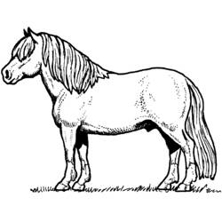 ぬりえページ: 馬 (動物) #2162 - 無料の印刷可能なぬりえページ