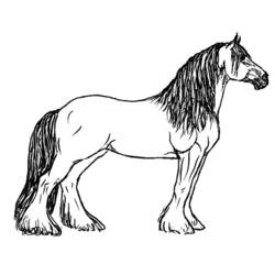 ぬりえページ: 馬 (動物) #2166 - 無料の印刷可能なぬりえページ