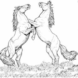 ぬりえページ: 馬 (動物) #2170 - 無料の印刷可能なぬりえページ