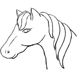 ぬりえページ: 馬 (動物) #2173 - 無料の印刷可能なぬりえページ
