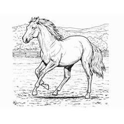 ぬりえページ: 馬 (動物) #2174 - 無料の印刷可能なぬりえページ