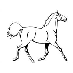 ぬりえページ: 馬 (動物) #2182 - 無料の印刷可能なぬりえページ
