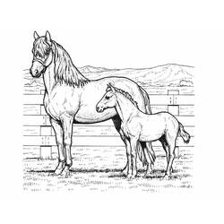 ぬりえページ: 馬 (動物) #2185 - 無料の印刷可能なぬりえページ