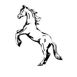 ぬりえページ: 馬 (動物) #2190 - 無料の印刷可能なぬりえページ