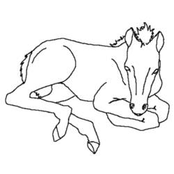 ぬりえページ: 馬 (動物) #2193 - 無料の印刷可能なぬりえページ