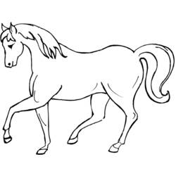 ぬりえページ: 馬 (動物) #2195 - 無料の印刷可能なぬりえページ