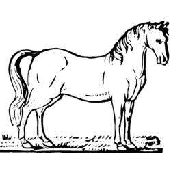 ぬりえページ: 馬 (動物) #2198 - 無料の印刷可能なぬりえページ