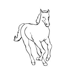 ぬりえページ: 馬 (動物) #2199 - 無料の印刷可能なぬりえページ