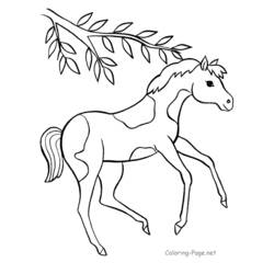 ぬりえページ: 馬 (動物) #2202 - 無料の印刷可能なぬりえページ