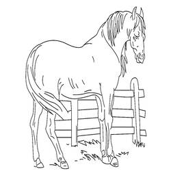 ぬりえページ: 馬 (動物) #2207 - 無料の印刷可能なぬりえページ