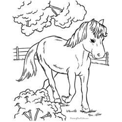 ぬりえページ: 馬 (動物) #2212 - 無料の印刷可能なぬりえページ
