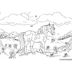 ぬりえページ: 馬 (動物) #2223 - 無料の印刷可能なぬりえページ