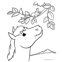 ぬりえページ: 馬 (動物) #2227 - 無料の印刷可能なぬりえページ