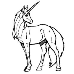 ぬりえページ: 馬 (動物) #2239 - 無料の印刷可能なぬりえページ