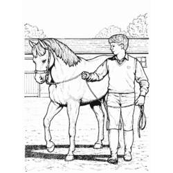 ぬりえページ: 馬 (動物) #2264 - 無料の印刷可能なぬりえページ