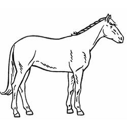 ぬりえページ: 馬 (動物) #2278 - 無料の印刷可能なぬりえページ