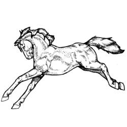 ぬりえページ: 馬 (動物) #2281 - 無料の印刷可能なぬりえページ