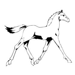 ぬりえページ: 馬 (動物) #2297 - 無料の印刷可能なぬりえページ